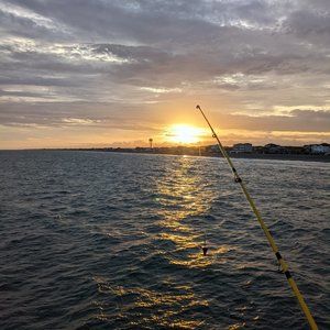 Meet your Posher, Shawnna